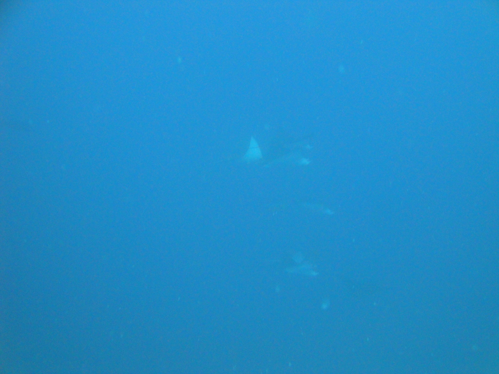 DSC00653.JPG