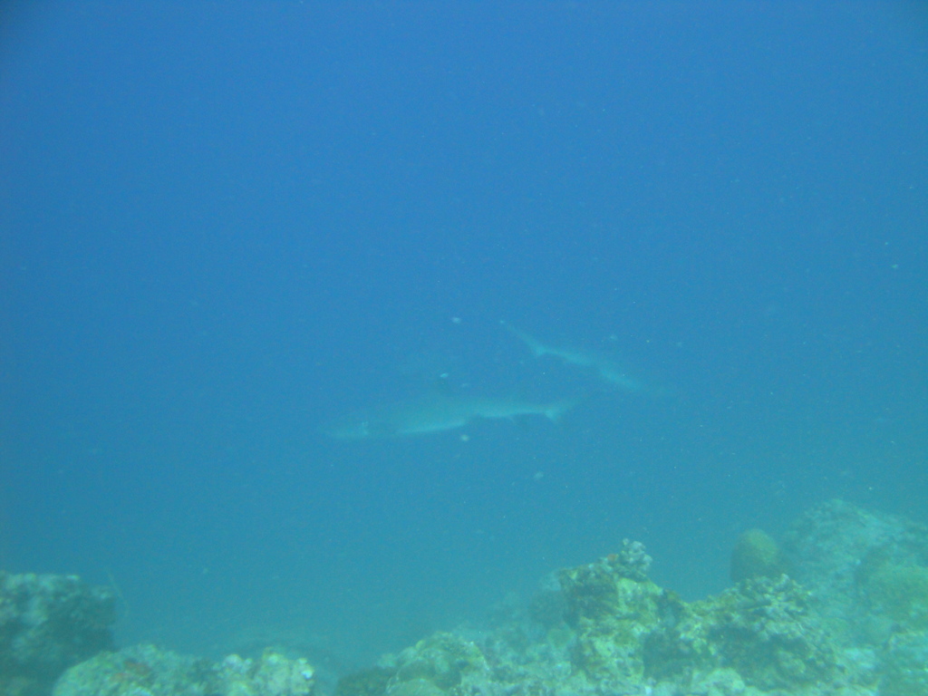 DSC00655.JPG