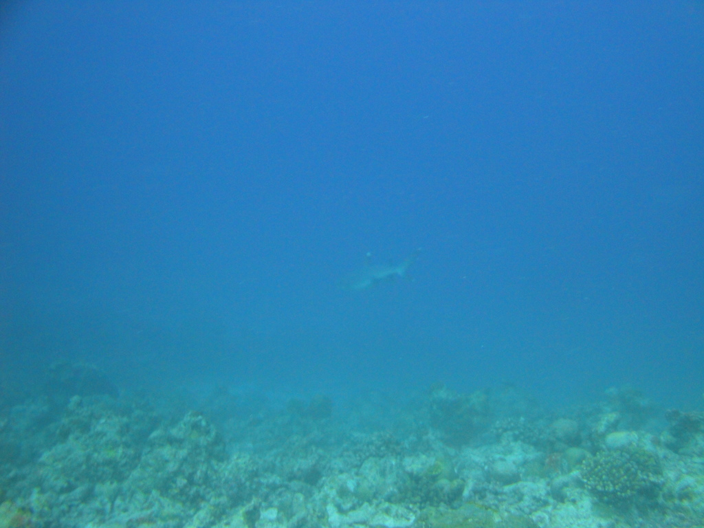 DSC00680.JPG