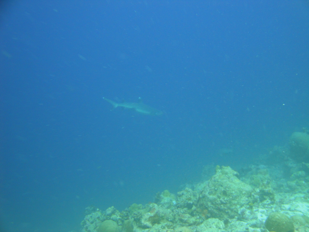 DSC00685.JPG