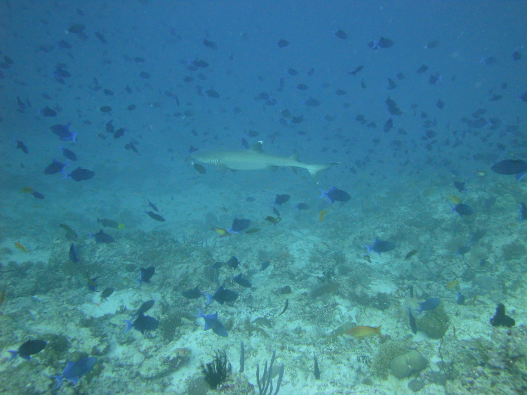 DSC00718.JPG