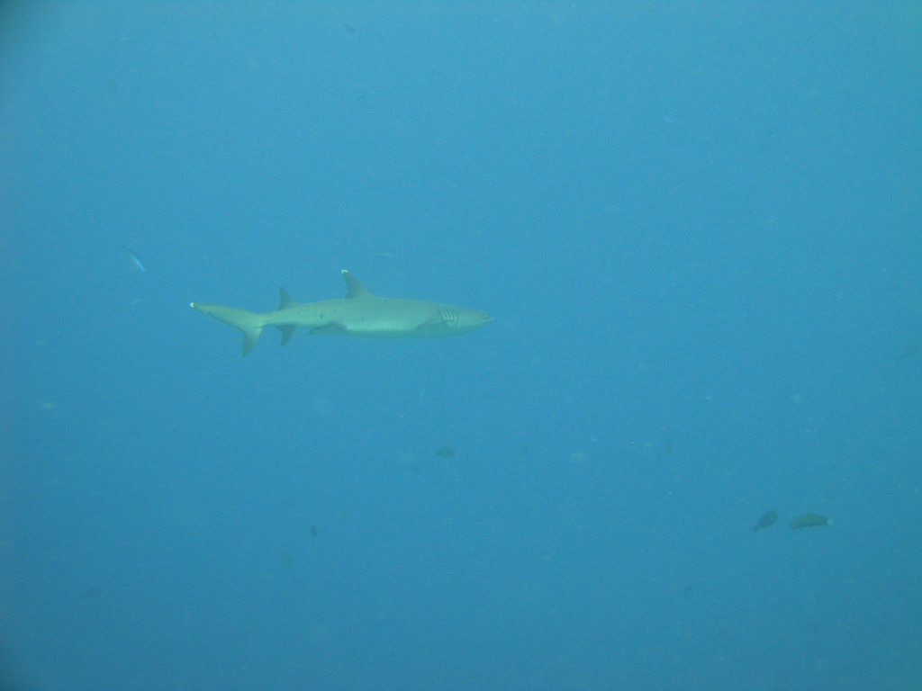 DSC00745.JPG