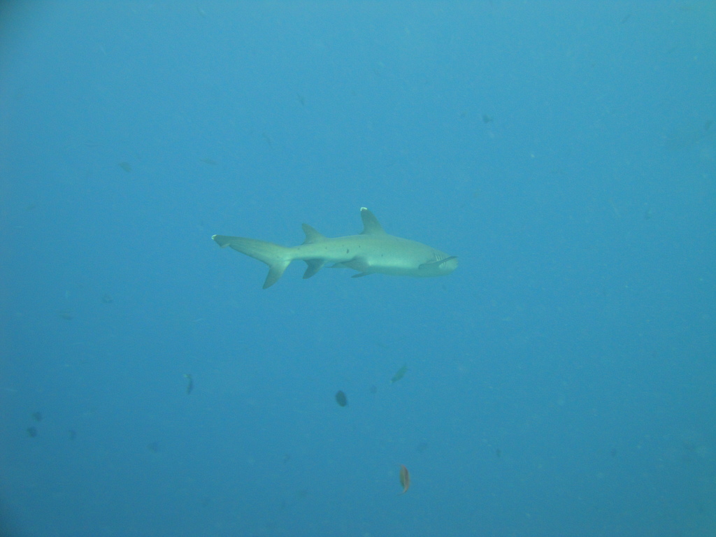 DSC00746.JPG