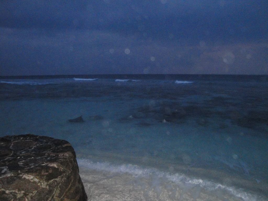 DSC00754.JPG