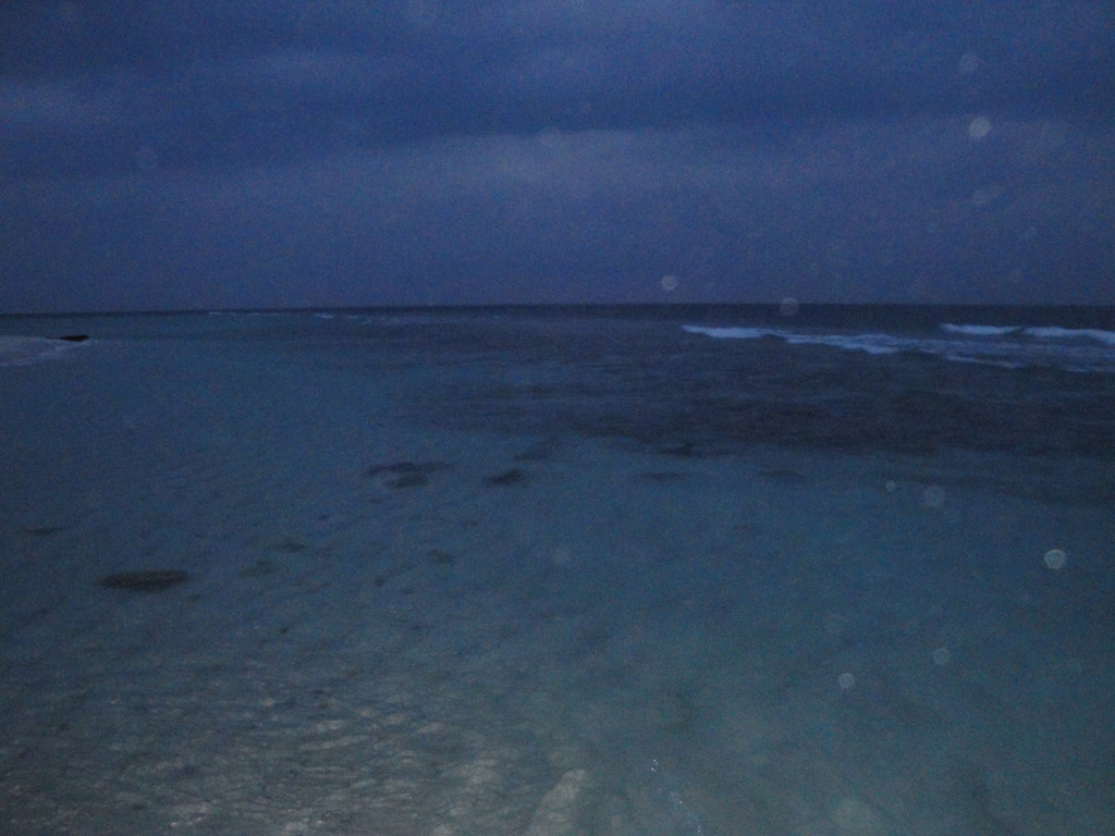DSC00755.JPG
