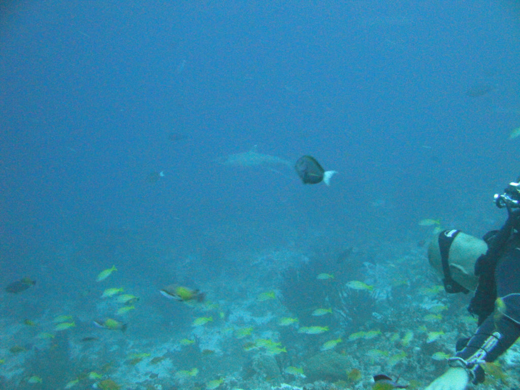 DSC00776.JPG