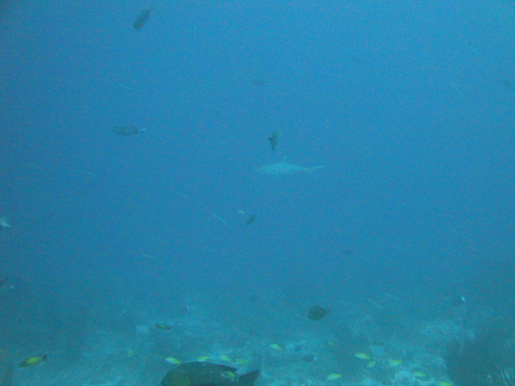DSC00778.JPG