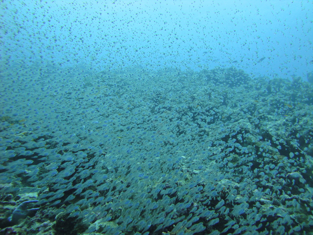 DSC00795.JPG