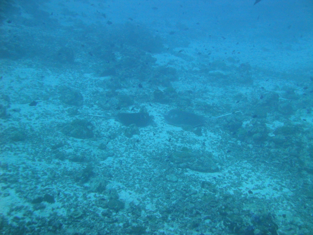 DSC00814.JPG