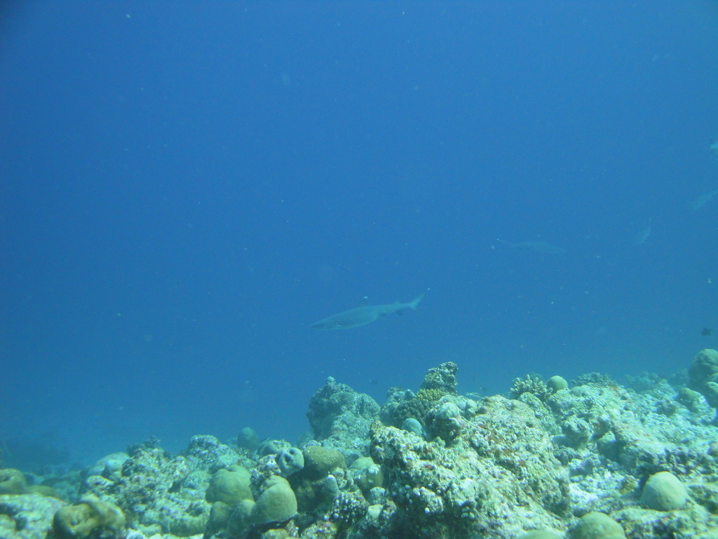 DSC00834.JPG
