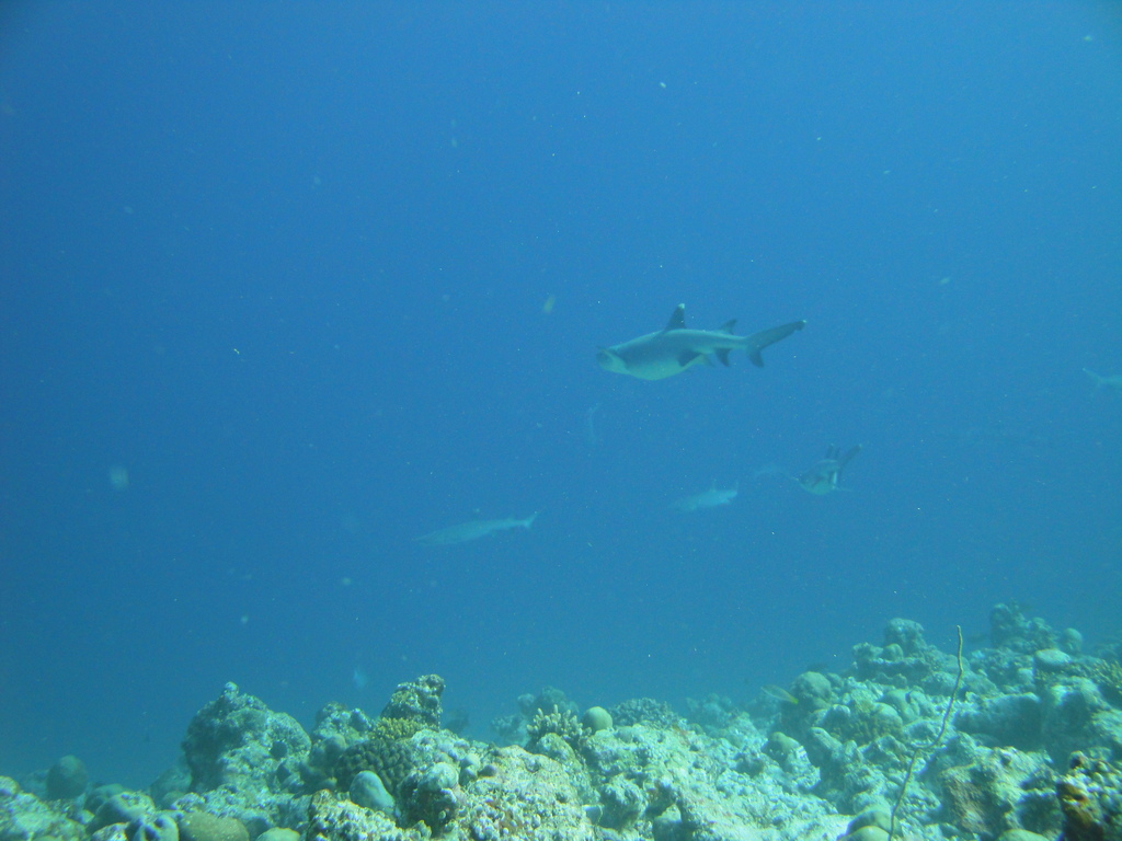 DSC00836.JPG