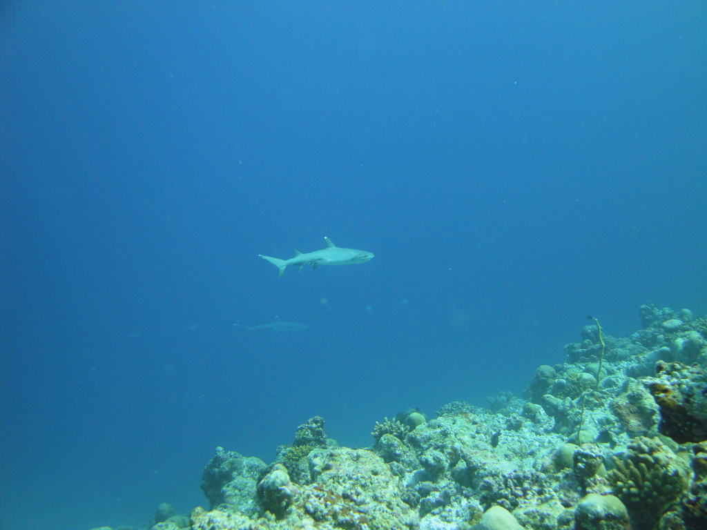 DSC00854.JPG