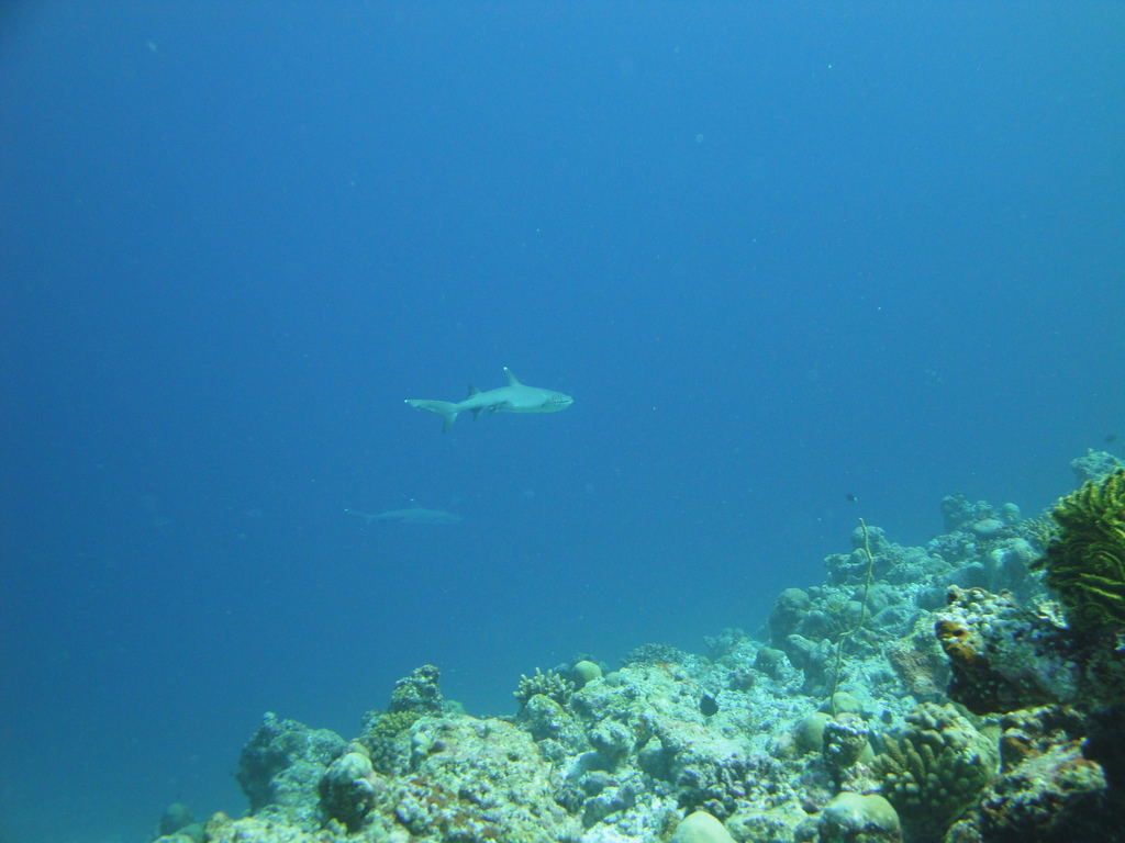 DSC00855.JPG