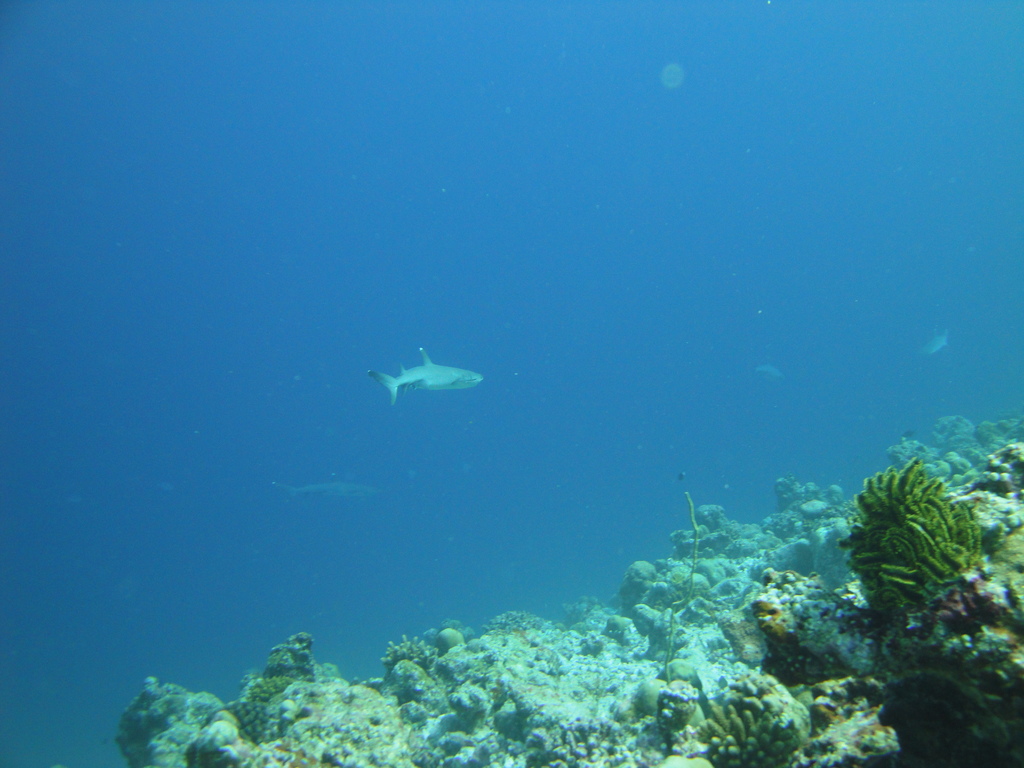 DSC00856.JPG