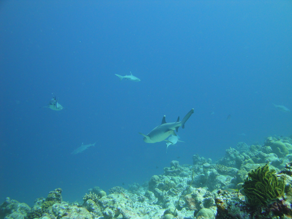 DSC00865.JPG