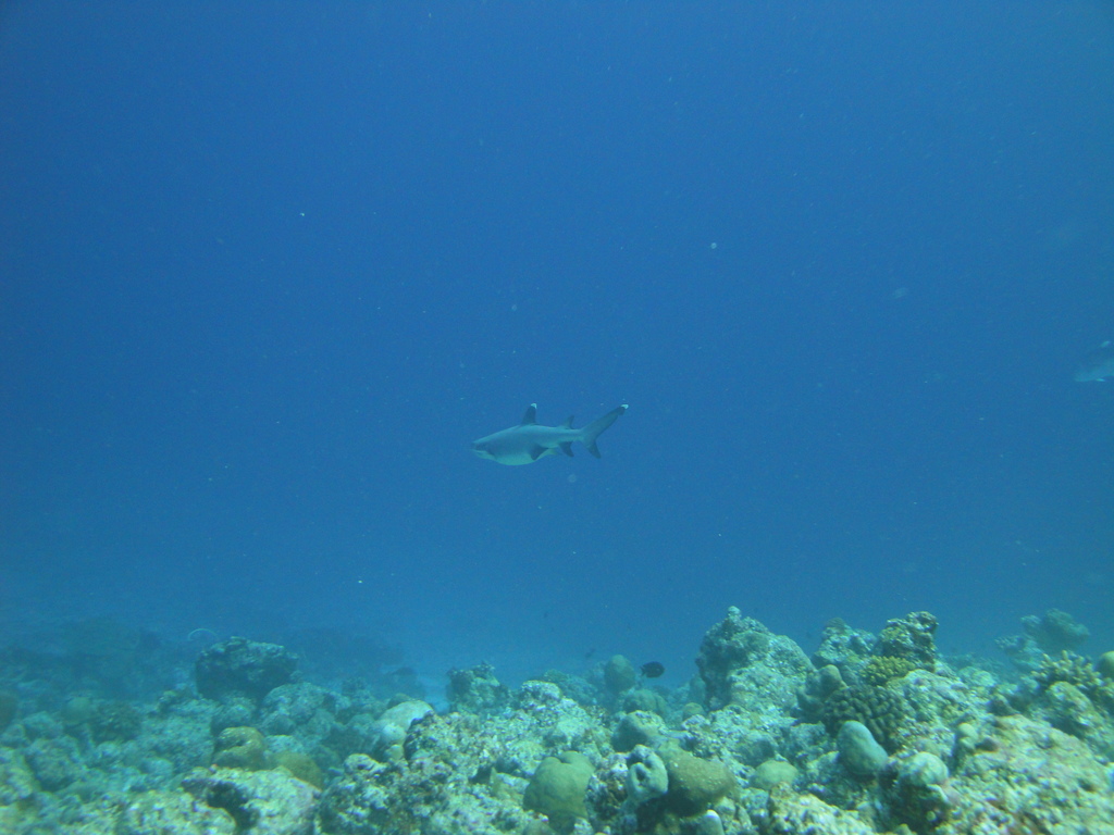 DSC00903.JPG