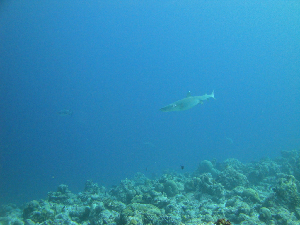 DSC00904.JPG