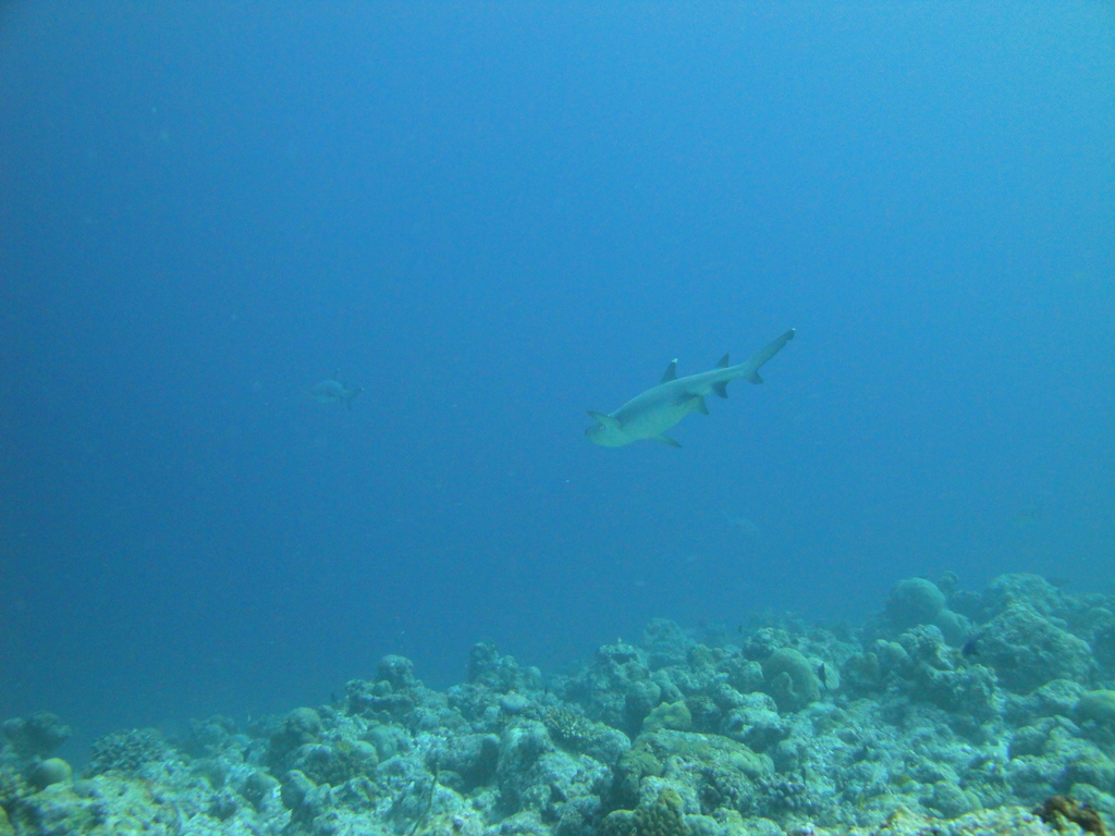 DSC00907.JPG