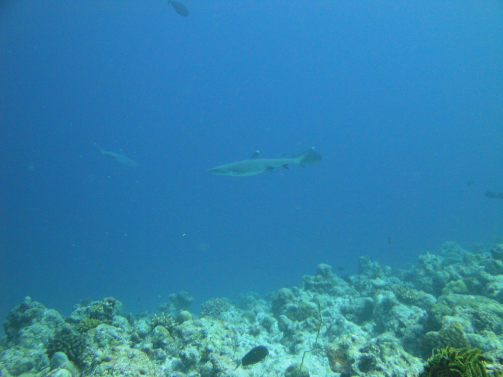 DSC00909.JPG