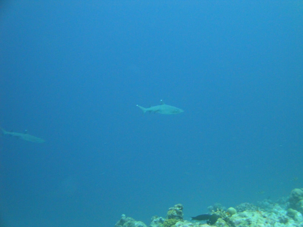 DSC00912.JPG