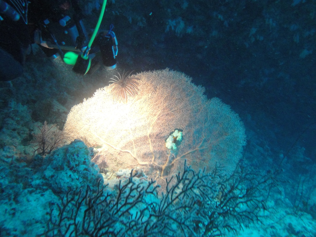 DSC00934.JPG