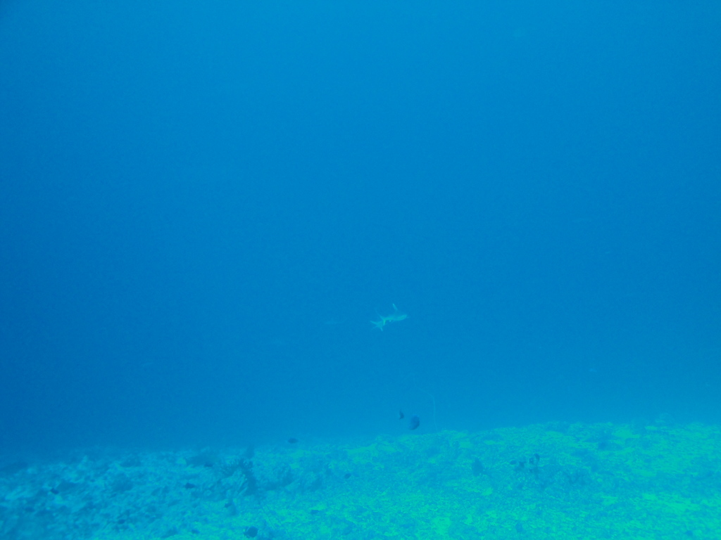DSC00953.JPG