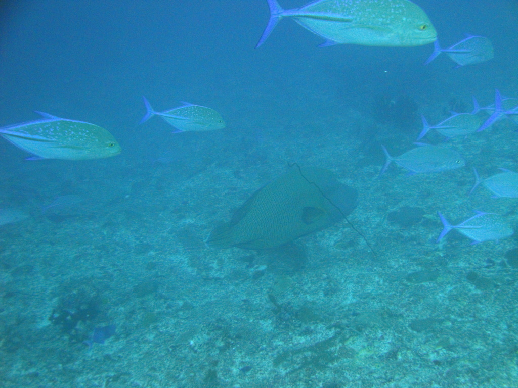 DSC00992.JPG
