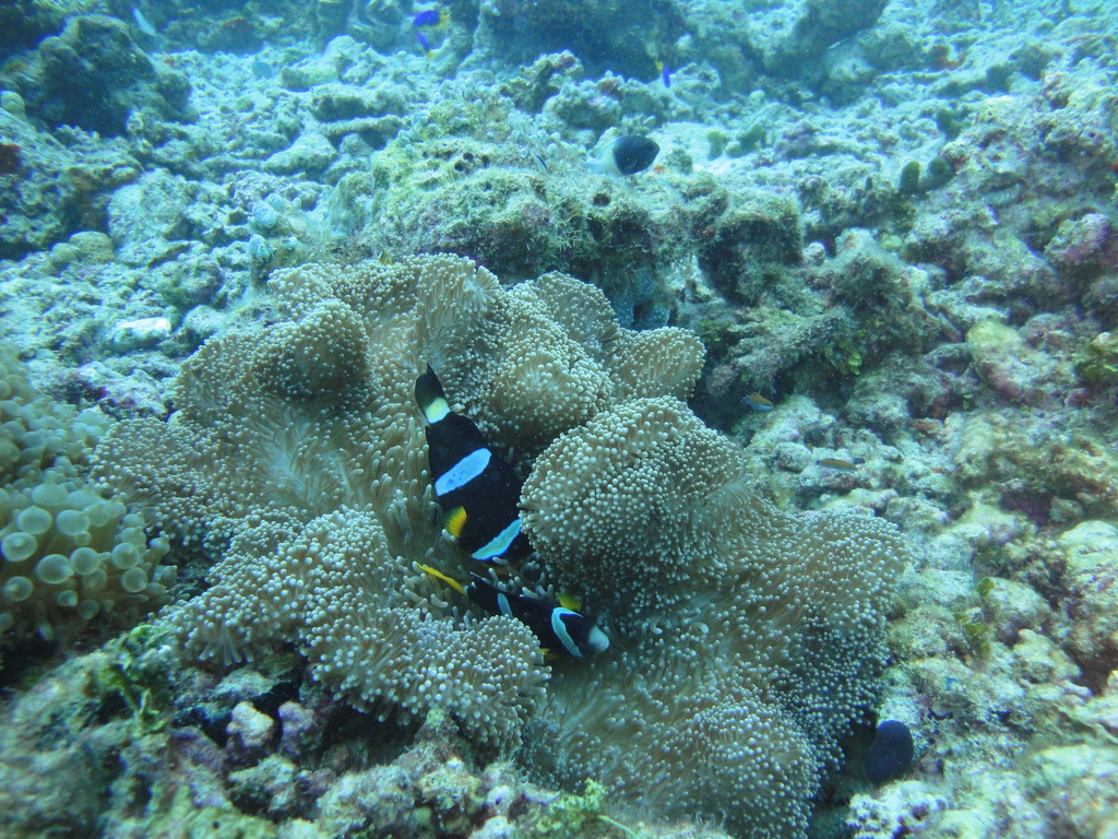 DSC01010.JPG
