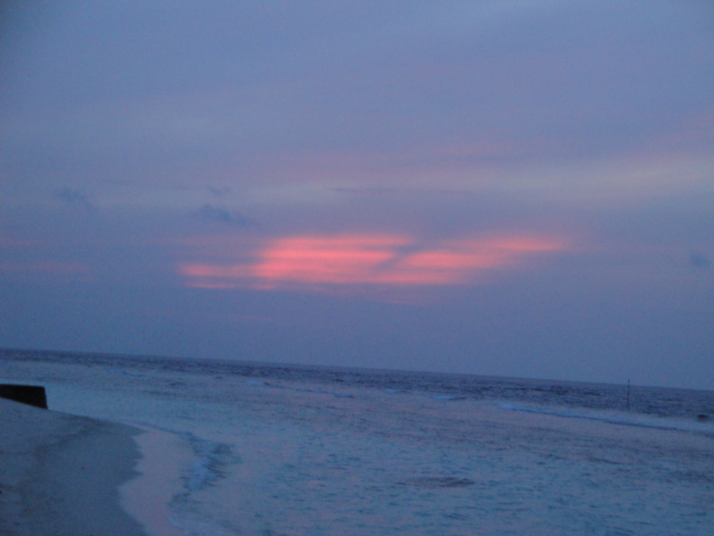 DSC01022.JPG