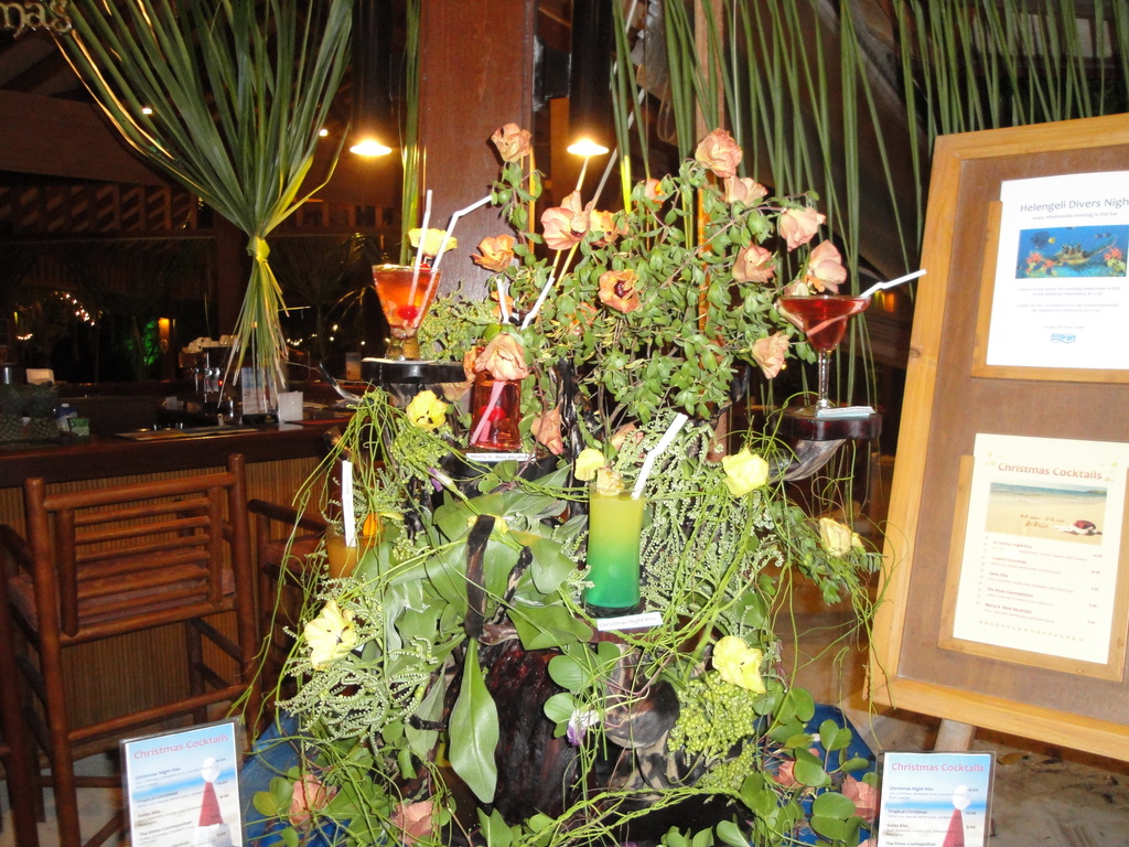 DSC01025.JPG