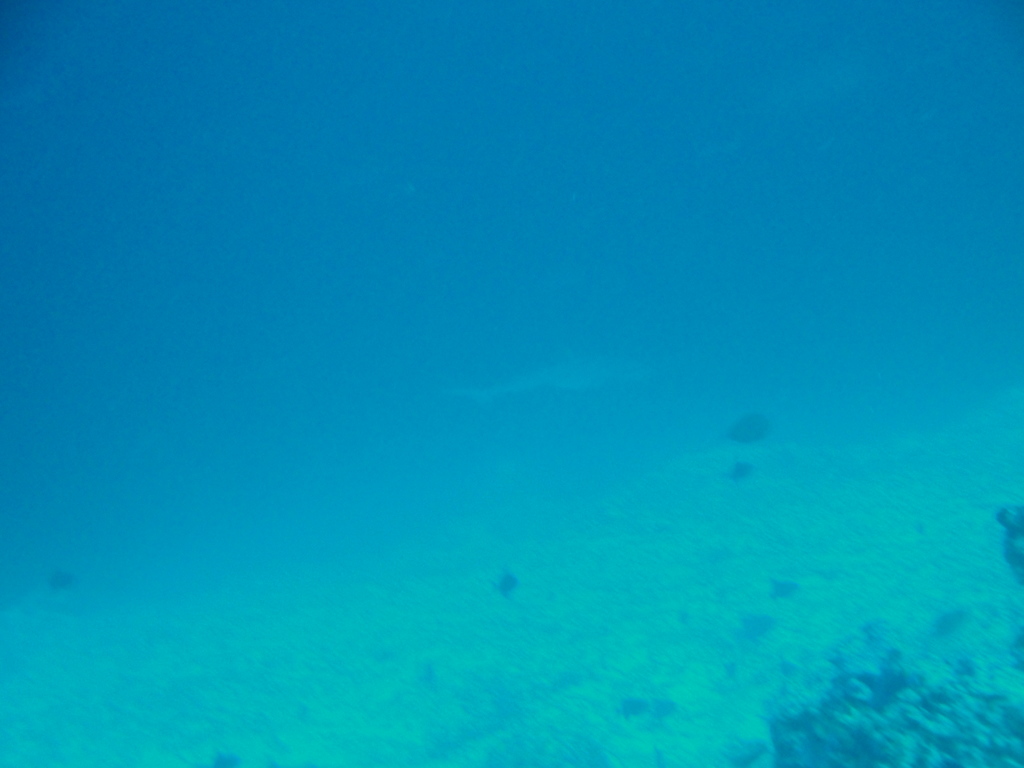 DSC01060.JPG