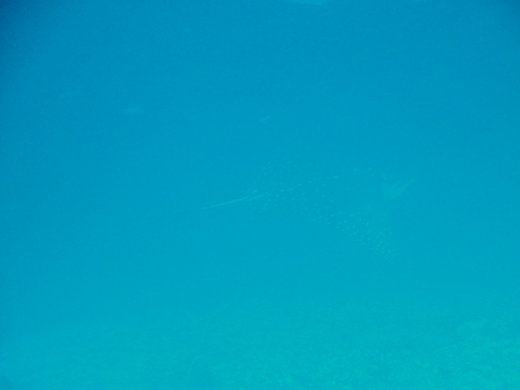 DSC01061.JPG