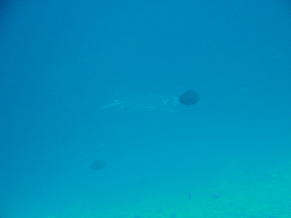 DSC01062.JPG