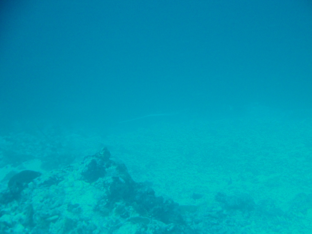 DSC01064.JPG