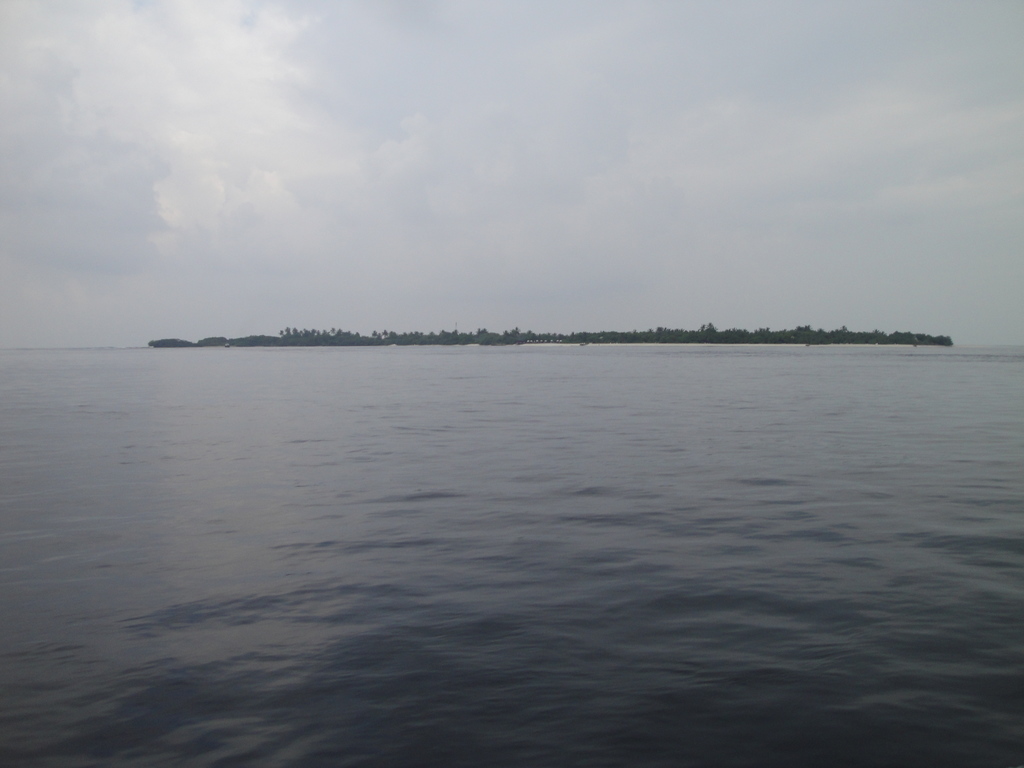 DSC01076.JPG