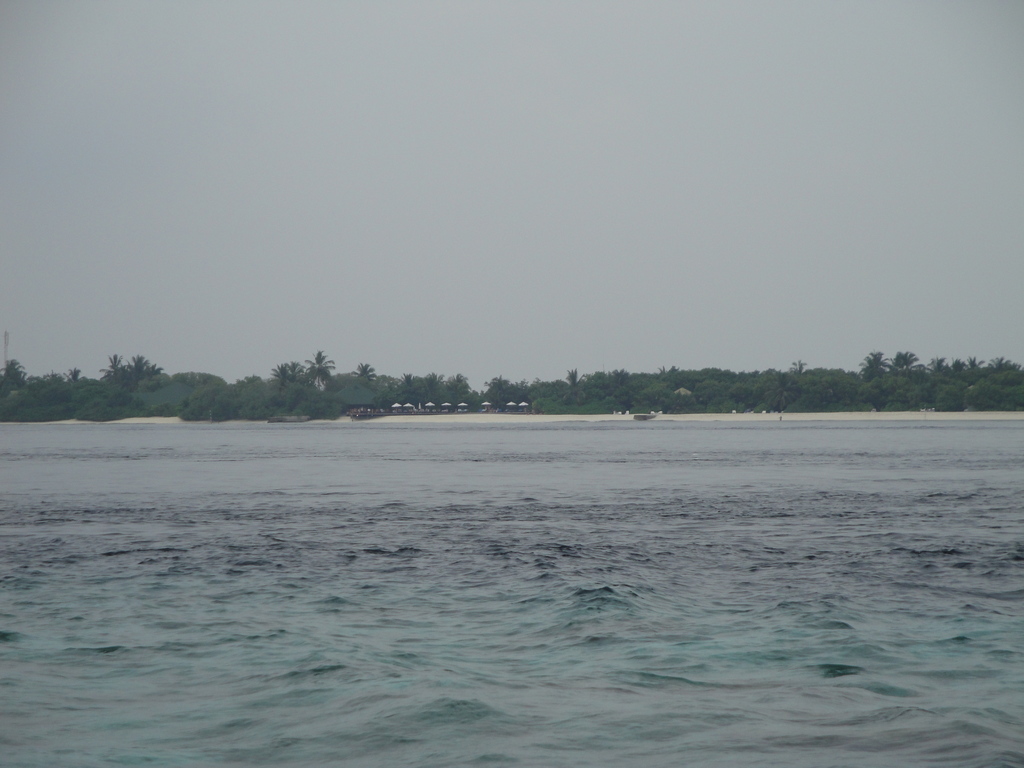 DSC01077.JPG