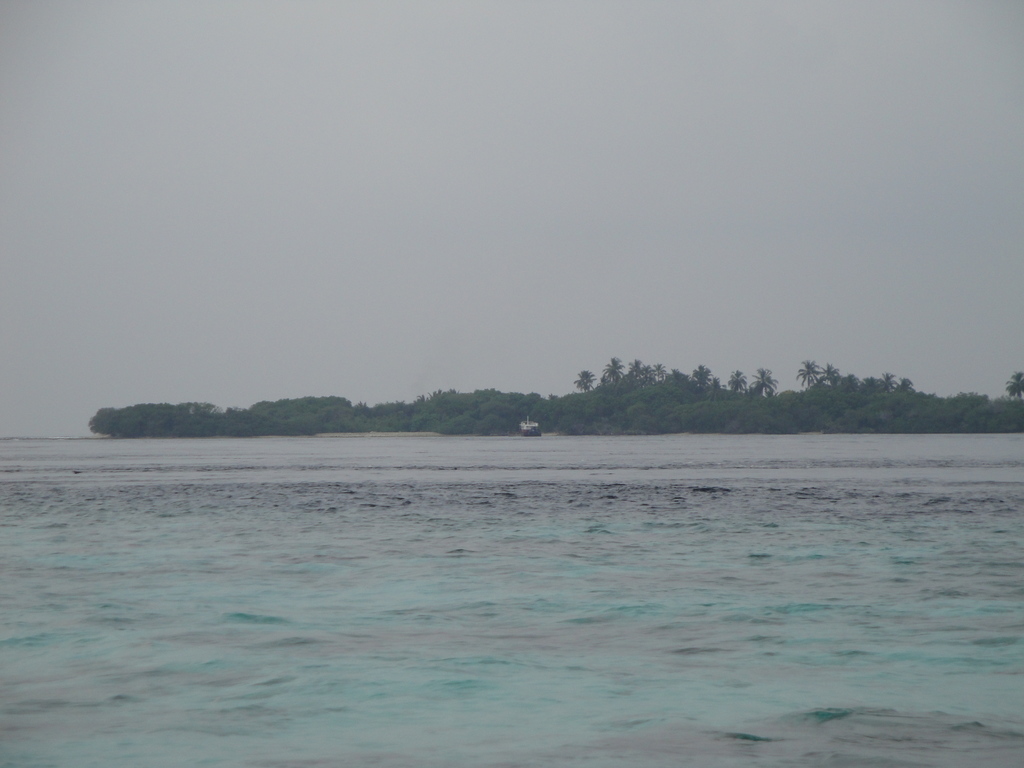 DSC01078.JPG