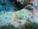 DSC00045.JPG
