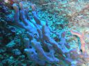 DSC00054.JPG