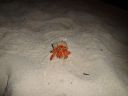 DSC00059.JPG