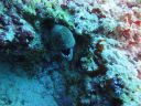 DSC00065.JPG