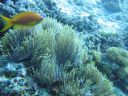 DSC00066.JPG