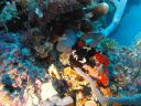 DSC00072.JPG
