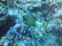 DSC00075.JPG