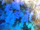 DSC00093.JPG