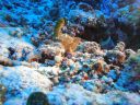 DSC00095.JPG