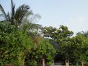 DSC00103.JPG