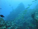 DSC00119.JPG
