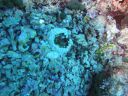 DSC00123.JPG