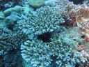 DSC00133.JPG